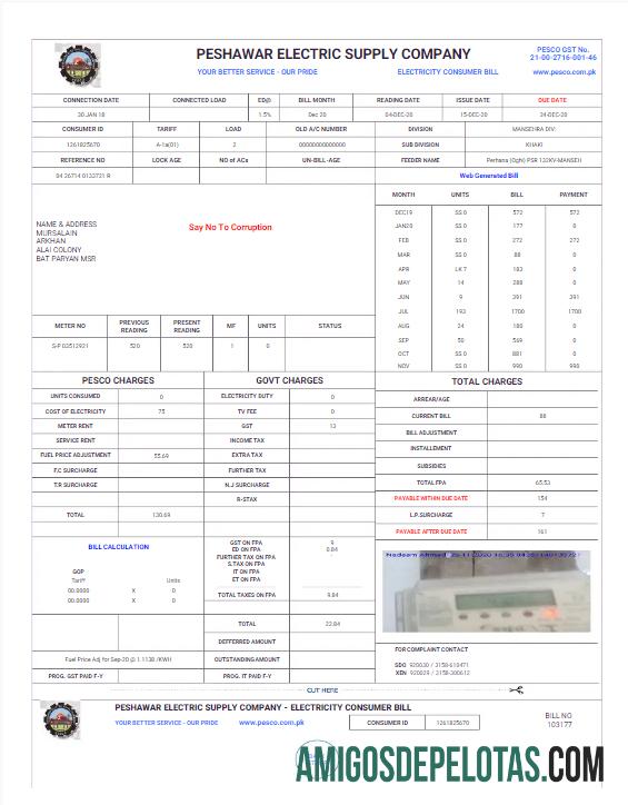 imprimível PAQUISTÃO PESHAWAR EMPRESA DE FORNECIMENTO ELÉTRICO Modelo Word e PDF de conta de serviços públicos
